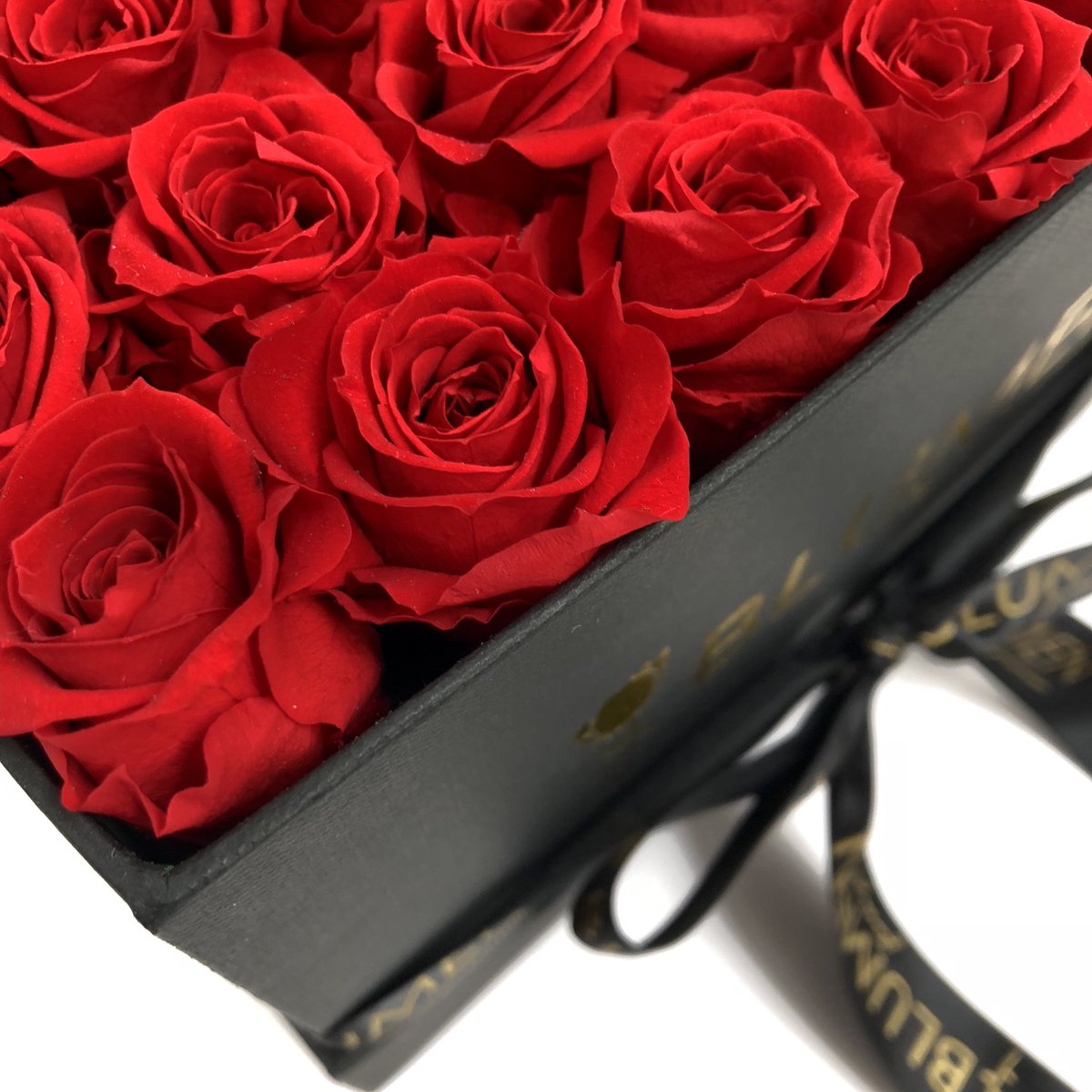blumenecuador's tweet photo. Muy bellas son las mini rosas BLUMEN y adornando un #BLUMENbox es el detalle perfecto para las ocasiones más importantes ✨🌹✨
¡Vive la experiencia BLUMEN!.
📱WhatsApp 0990061071 .
#BlumenEcuador #flores #florespreservadas #rosaspreservadas #regalos #romance #roses #elegant https://t.co/18MvDwtpG4