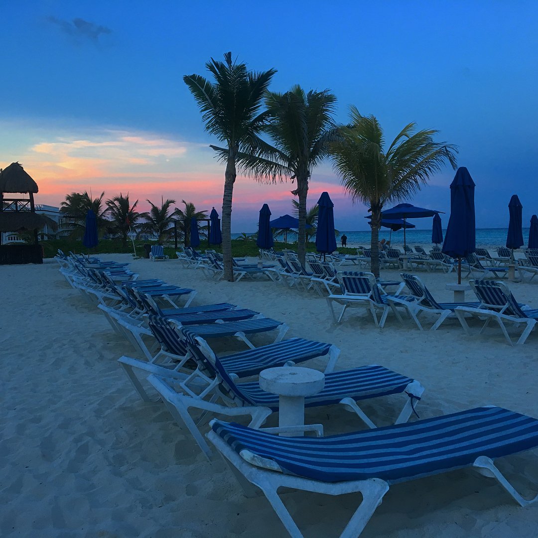 The Reef Playacar tweet media