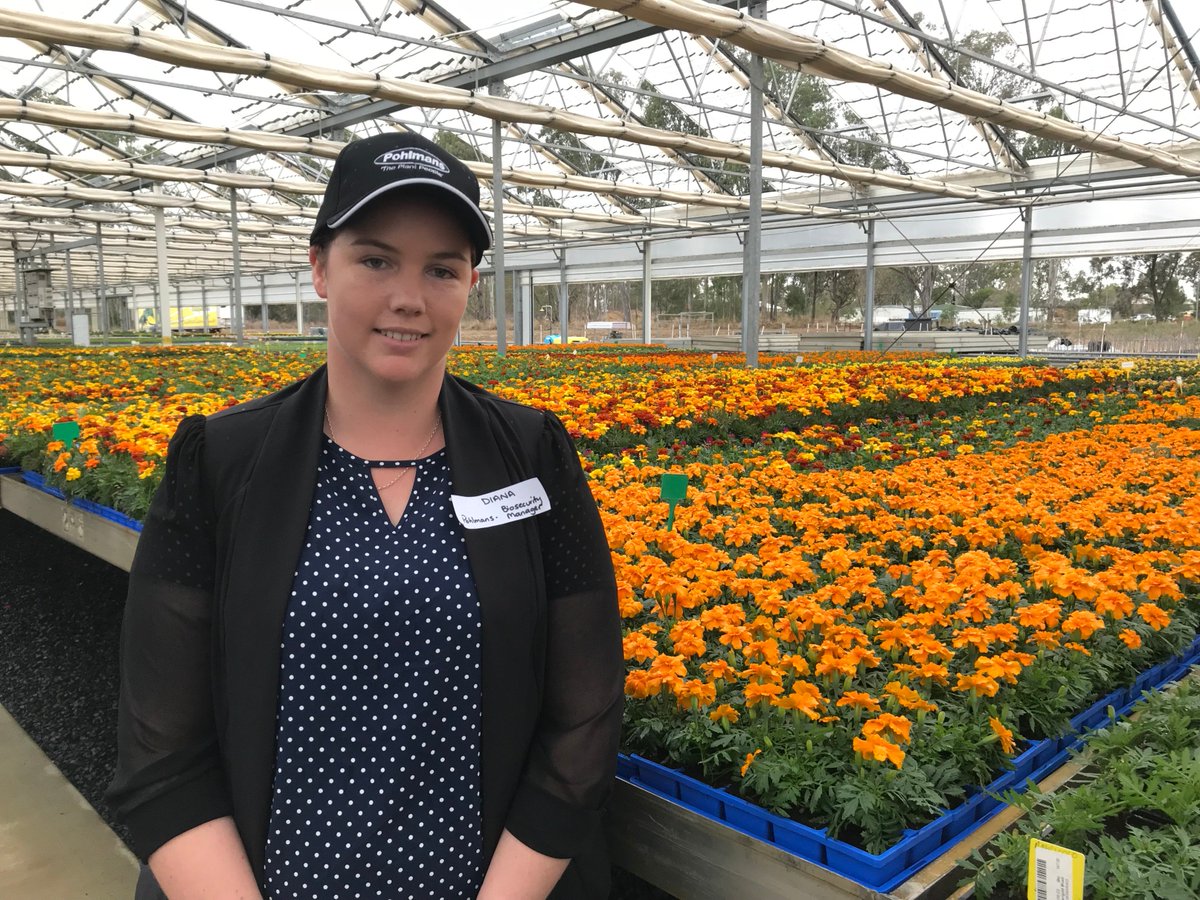 . "@NGI_NEWS' BioSecure HACCP procedures and protocols are integrated into everyday operations at Pohlmans, so being 'biosecurity ready' is business as usual." - Pohlmans Biosecurity Manager Diana Green #agchatoz