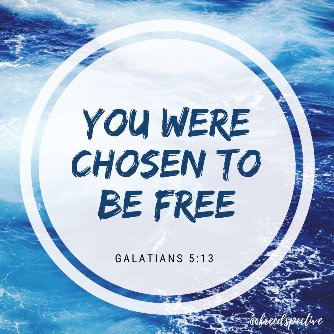 freedspective's tweet photo. Follow @freedspective 🦋 
#freedompamore https://t.co/VK9uwUaNrP