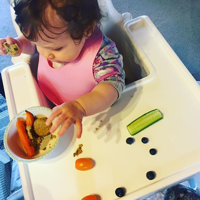 Such a pleasure watching my little munchkin #feedherself! What a clever girl #babyledweaning #somuchenthusiasm ift.tt/2Ec0EaY