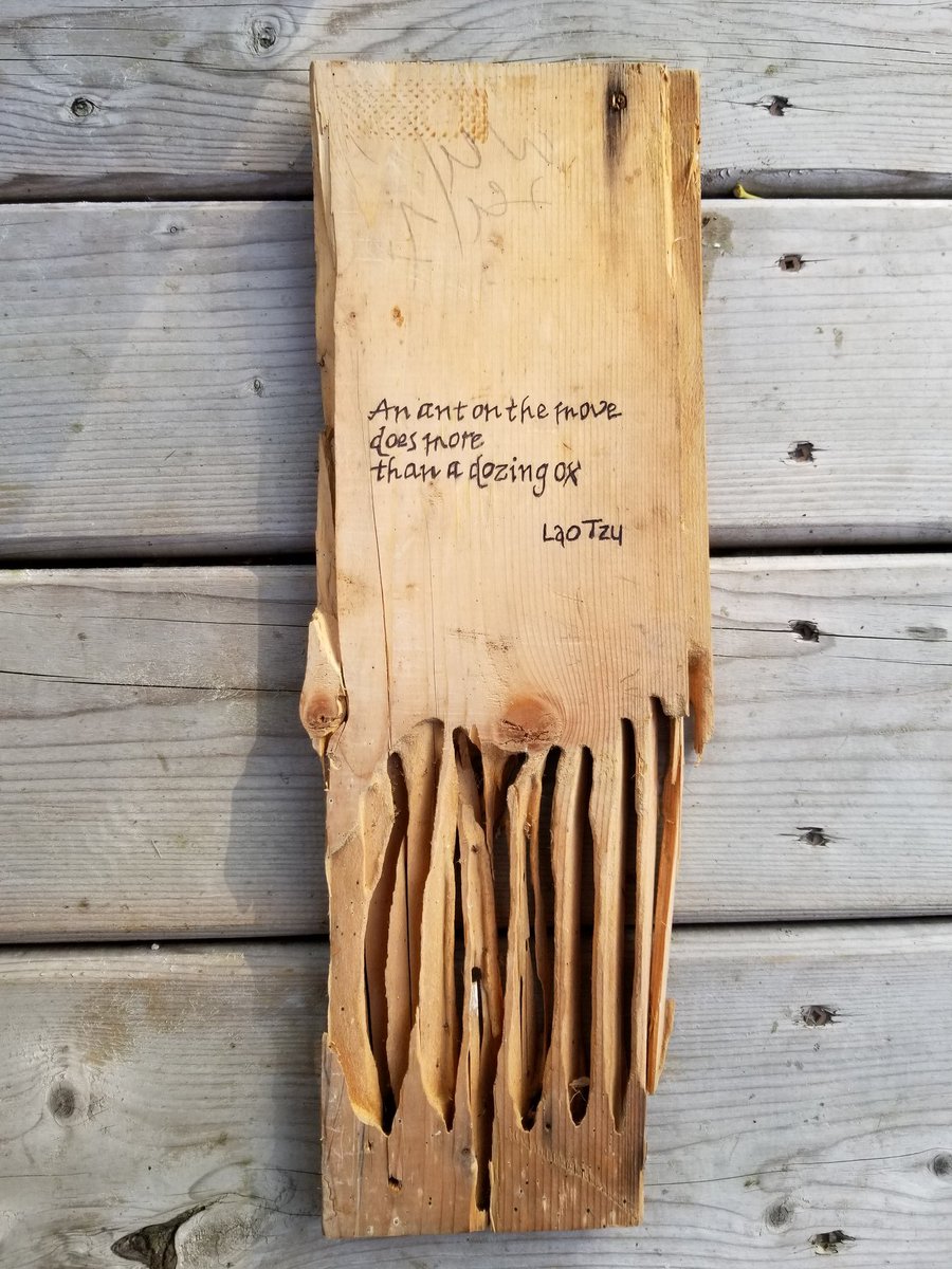 extradiagetic's tweet image. A year ago my neighbor demolished his house. I asked for this piece of lumber that had been destroyed by carpenter ants. Re-did it with some calligraphy quoting Lao Tsu "An ant on the move - does more - than a dozing ox'. Hope he likes it.