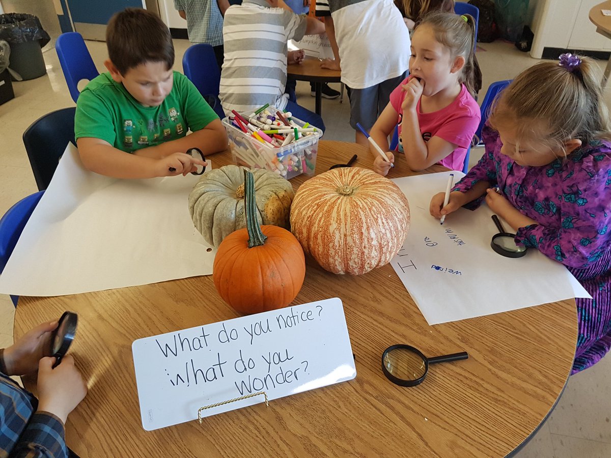 schickjennifer's tweet photo. Lots of investigations happening today in our classroom! 🎃🍎lots of wonders like,"how many apples fit in a basket?" and "why aren't all pumpkins orange?" @HoughtonHornets https://t.co/hYQAGVVB7e