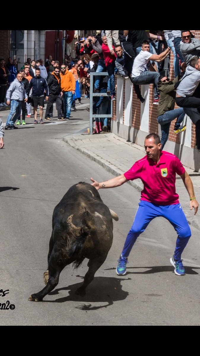 #DiaDeLaTauromaquia orgulloso de ser taurino 😉