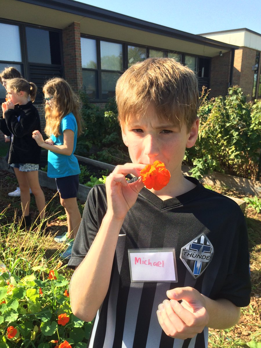 Creekside205's tweet photo. Kitchen Garden flex class...tasting raspberries and nasturtiums! https://t.co/WxCakj3uzk