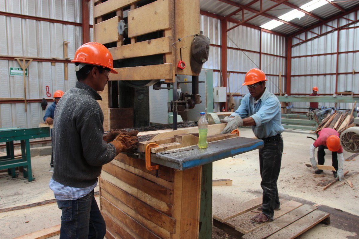 CONAFOR's tweet photo. El ejido Caborachi, #Chihuahua, adaptó su programa de manejo forestal a la Estrategia Nacional de Manejo Forestal Sustentable para el Incremento a la Producción y Productividad #ENAIPROS lo que les permitió crecer. Conoce cómo lo lograron en el #blog ➡️https://t.co/vWGKH63cJe https://t.co/GmWTLAsn3Y