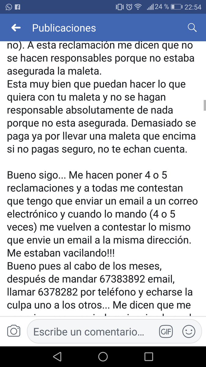 Noelia Ferrer tweet media