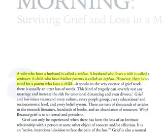 Postscript EPic1 = Exceprt from "Christian Counseling Today" (vol.22, no.2) by Eric ScalisePic2 = Exceprt from "Christian Counseling Today" (vol.22, no.4) by Eric ScaliseThe problem is that these words seem to belong to Jay Neugeboren. See Pic3 and:  https://www.goodreads.com/quotes/682837-a-wife-who-loses-a-husband-is-called-a-widow