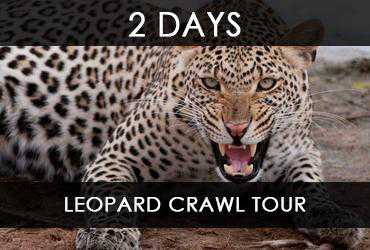 LeshageMf's tweet photo. 2 Days Leopard Crawl Tour
Beat the odds by exploring and being adventurous. One with nature and challenging yourself for better growth and courage.
#animalkruger
#awekinningthegaintwithinn
#ENG2604 https://t.co/qM5a78CDcO