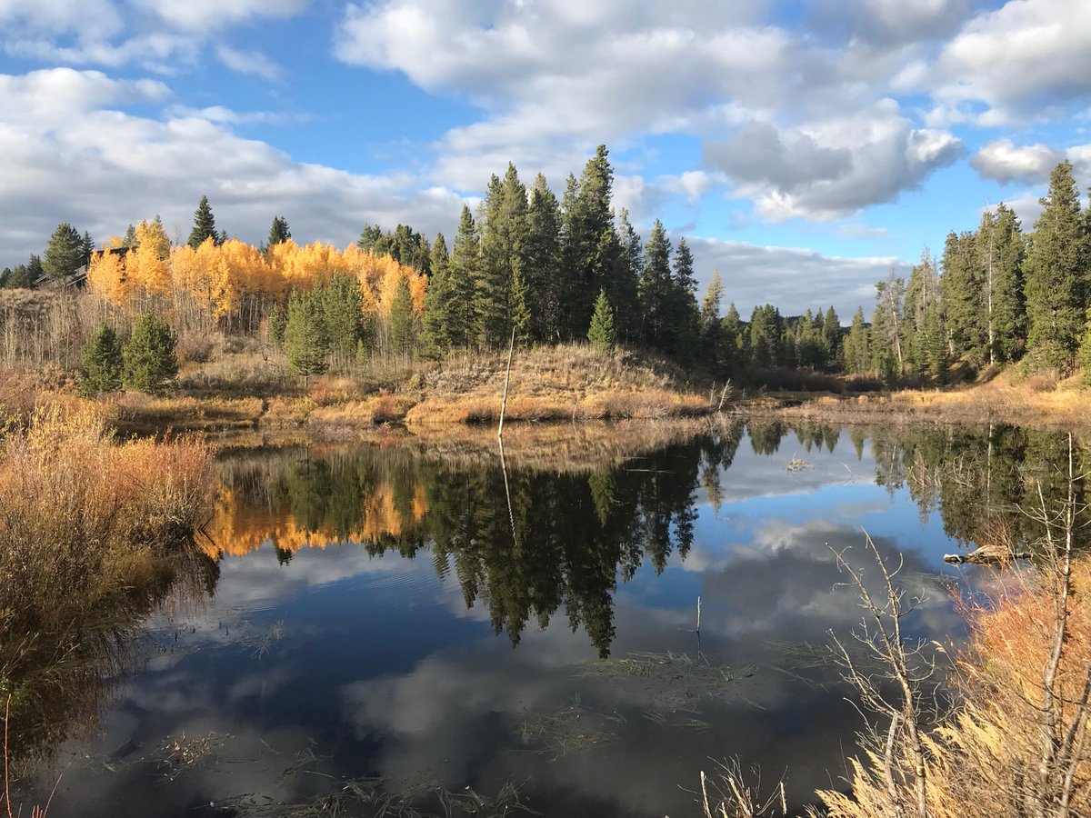 Gorgeous fall colors 🍁🍂 are popping <a href="/GrandTetonNPS/">Grand Teton National Park</a> in #Wyoming #FindYourPark
