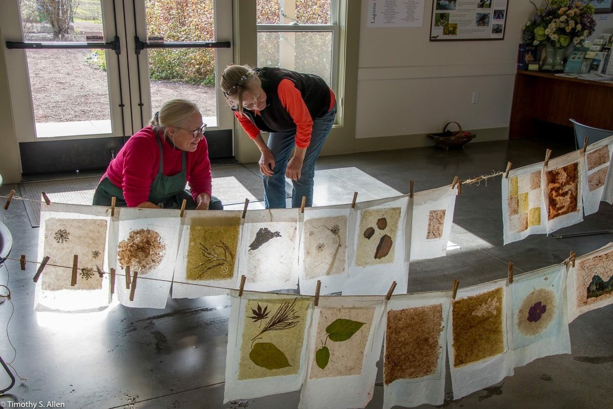 Papermaking workshop with Jane Ingram Allen Oct. 20-21: lagunadesantarosa.org/laguna_walks_c… #artandnature #lagunalove