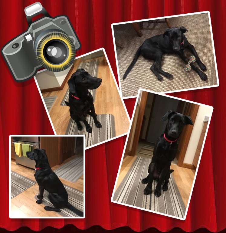 We did a photoshoot with Jackson and asked him which side was his best side... and he said all of them! Can't help but agree - this guy's pretty handsome!