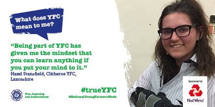 NFYFC tweet media
