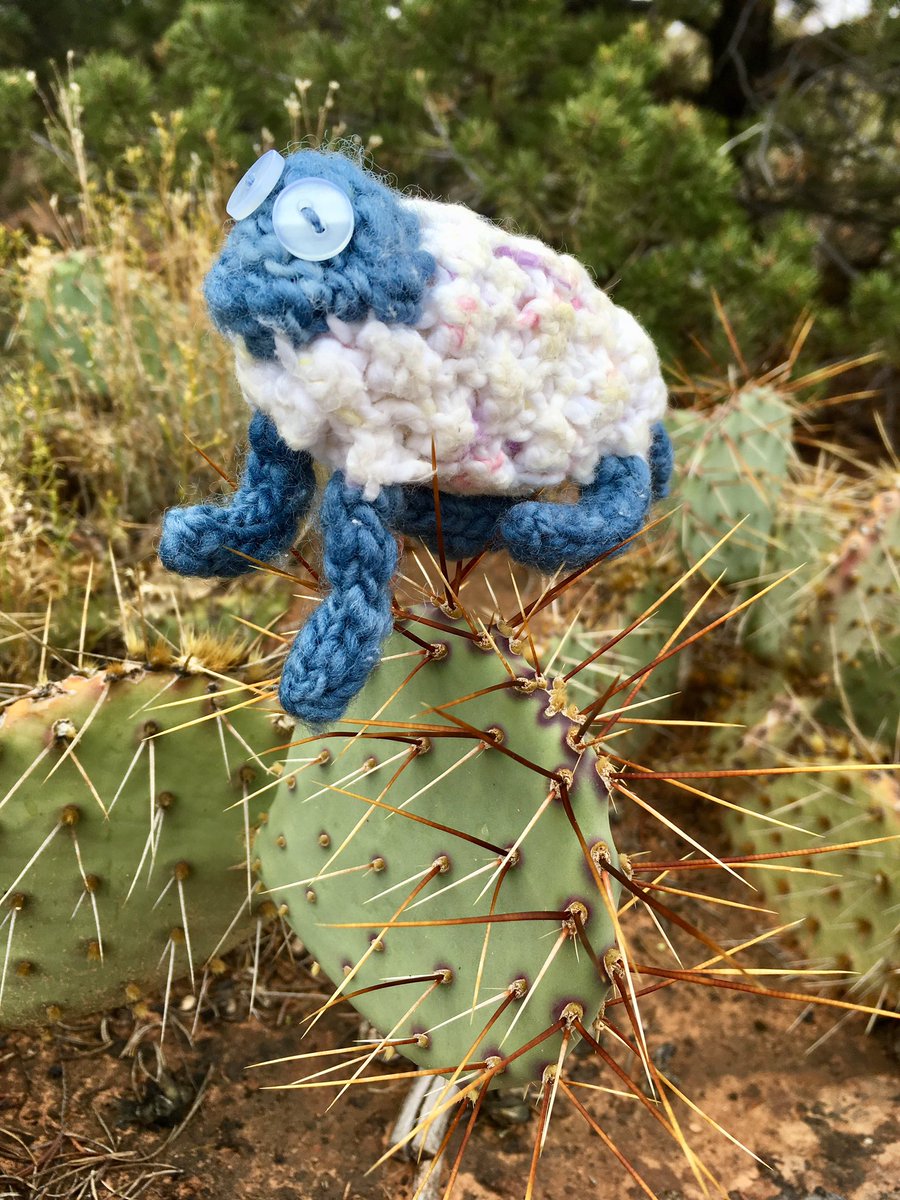 FerdTheSheep's tweet image. Oh, Ferd!  #ouch #BehindTheRocks #Moab #ferdinandthesheep