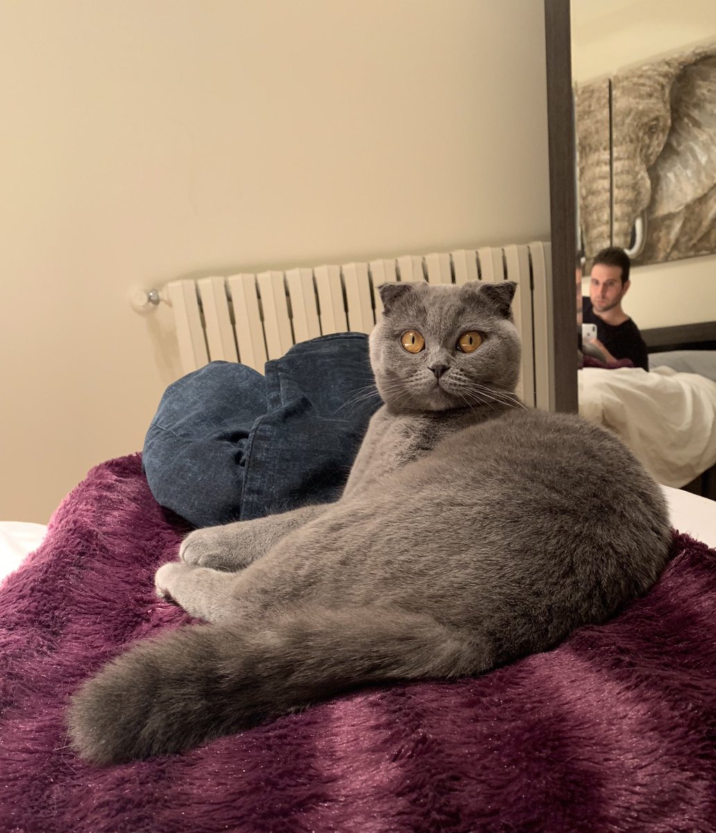 ♈️ Vegetta777 ♈️ tweet media