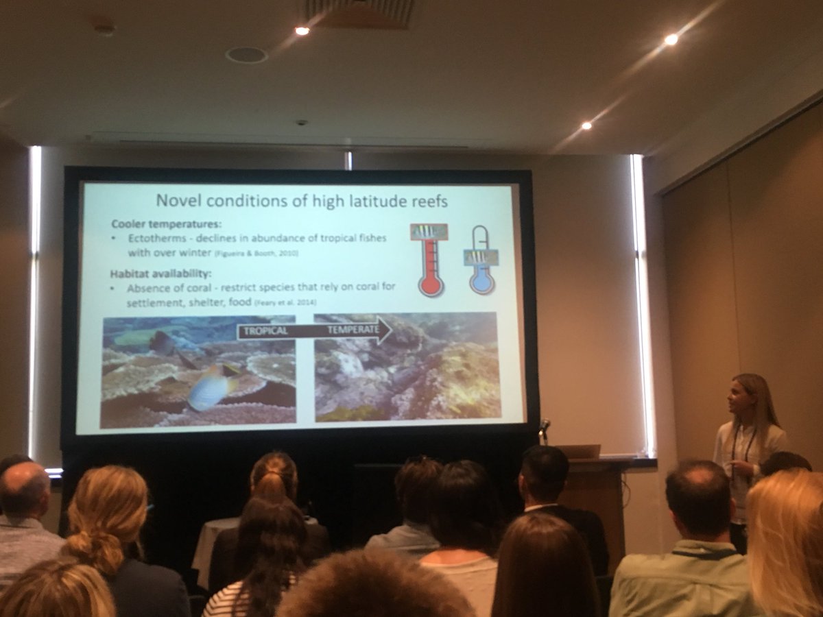 Jenni Donelson (@drjdonel) on Twitter photo Fish assemblages across latitudinal gradients. Benthic complexity relates to fish assemblages #ASFB2018 #nailedit #fishsci #vagrants #coral #temperate #reefs <a href="/FishEcology_UTS/">Fish Ecology Lab UTS</a> <a href="/UTS_Science/">UTS Science</a> Fish assemblages across latitudinal gradients. Benthic complexity relates to fish assemblages #ASFB2018 #nailedit #fishsci #vagrants #coral #temperate #reefs <a href="/FishEcology_UTS/">Fish Ecology Lab UTS</a> <a href="/UTS_Science/">UTS Science</a>