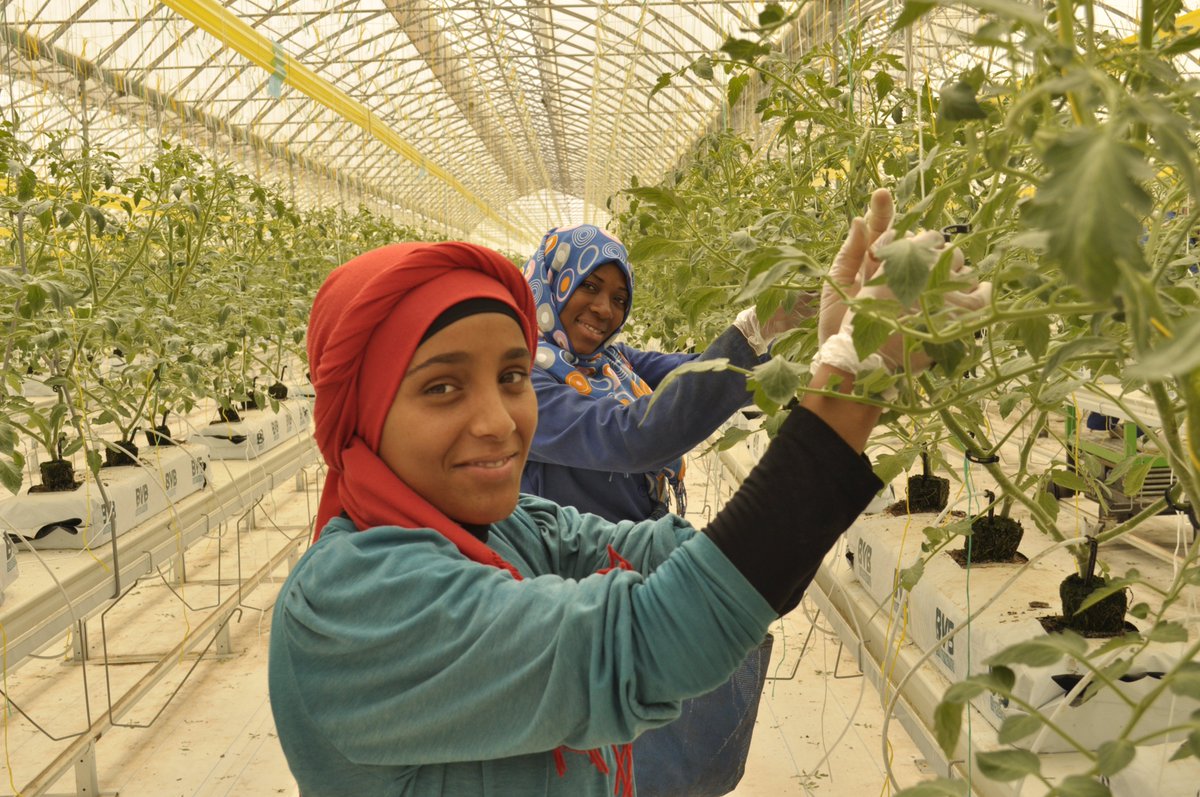 Fairtrade NZ tweet media