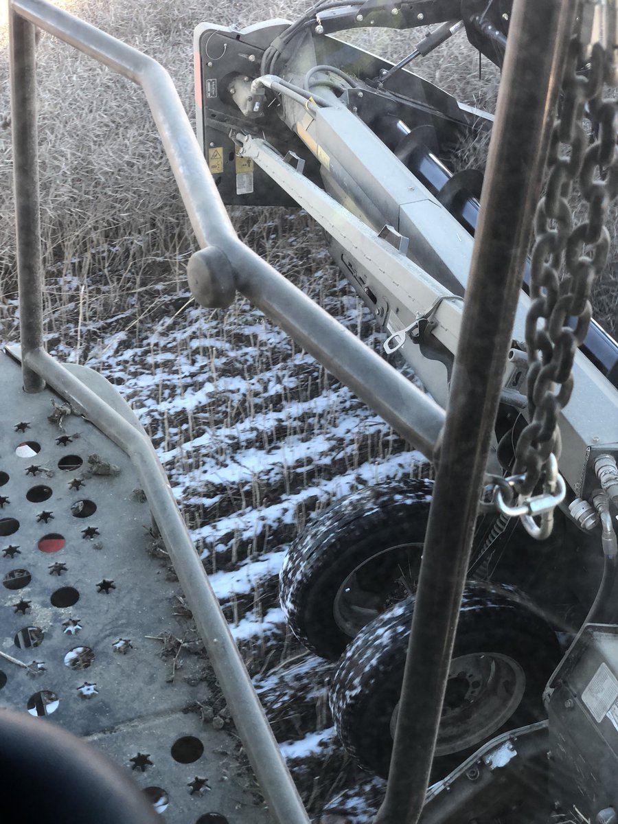 McCrea72's tweet photo. Yesterday we got an inch of snow, this morning it was -16 with a heavy frost on crops, this afternoon dust is rolling in standing canola testing 11.  I’ll take standing canola over swathed any day of the week!! https://t.co/1QyW5Vv8pI