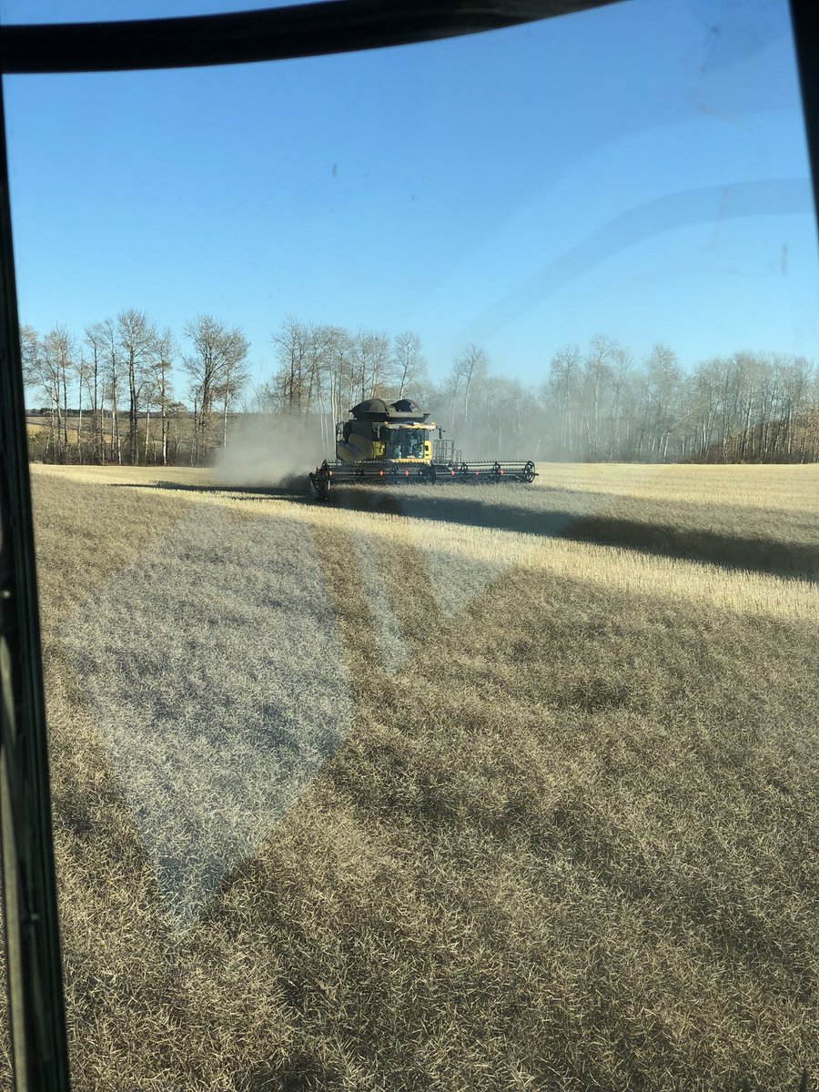 Yesterday we got an inch of snow, this morning it was -16 with a heavy frost on crops, this afternoon dust is rolling in standing canola testing 11.  I’ll take standing canola over swathed any day of the week!!