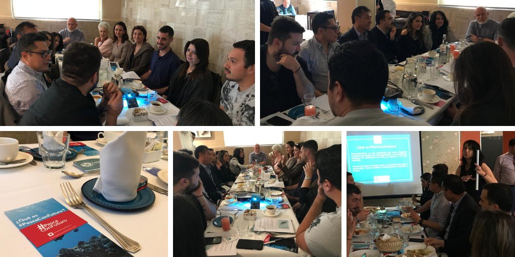#PescaConFuturo (@pescaconfuturo) on Twitter photo De la mano de nuestros #EmbajadoresGastronómicos, los Chefs <a href="/chefgevalu/">Gerardo Vazquez Lugo</a> y <a href="/chefpepesalinas/">Chef Pepe Salinas</a>, presentamos hoy el movimiento #PescaConFuturo a Chefs de reconocidos restaurantes de nuestro país. Agradecemos a <a href="/NicosMexico/">Restaurante Nicos</a> por darnos un espacio para presentar nuestro proyecto. De la mano de nuestros #EmbajadoresGastronómicos, los Chefs <a href="/chefgevalu/">Gerardo Vazquez Lugo</a> y <a href="/chefpepesalinas/">Chef Pepe Salinas</a>, presentamos hoy el movimiento #PescaConFuturo a Chefs de reconocidos restaurantes de nuestro país. Agradecemos a <a href="/NicosMexico/">Restaurante Nicos</a> por darnos un espacio para presentar nuestro proyecto.
