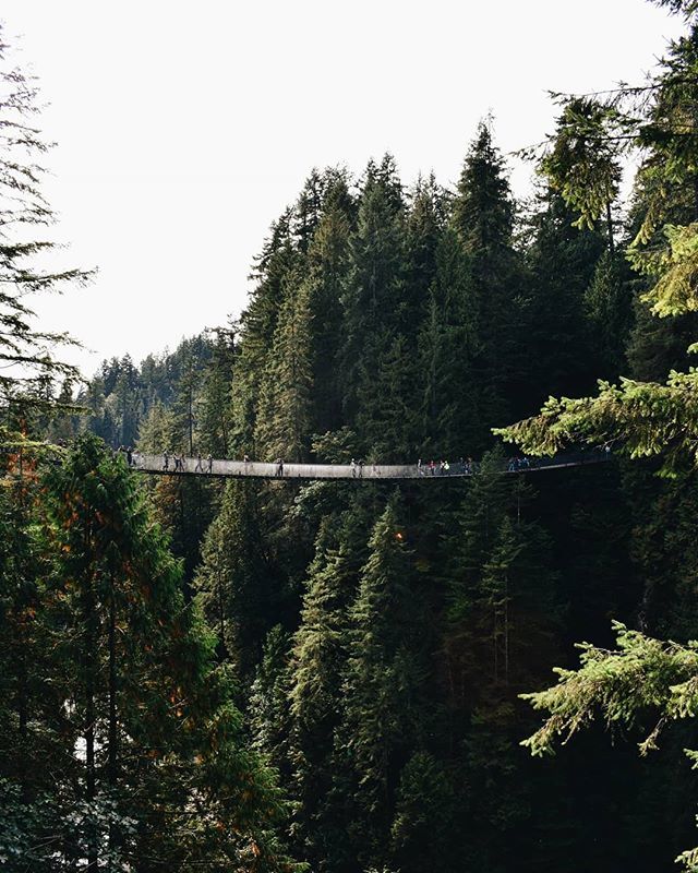 SummonPorter's tweet photo. It's another beautiful Fall day out there! Request a Porter to help you get it done so you can head outdoors! .
.
.
📸 @emilyxhudson https://t.co/kwVaPLnPhc