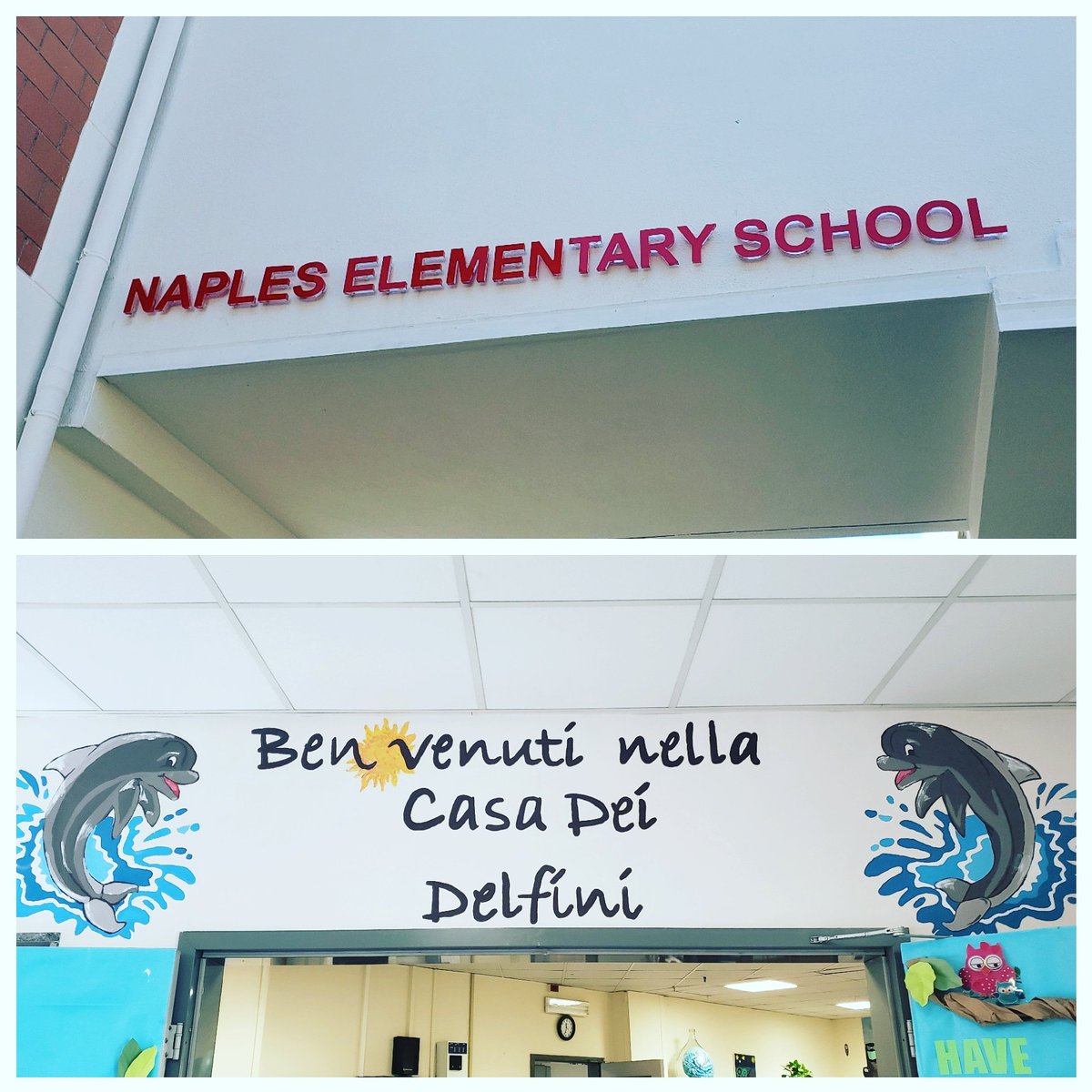 thelearningloop's tweet photo. Welcome to the Dolphin House! Had an awesome day working w/Diane Metz diving into CCRSL w/Naples Elementary School. These teachers are so thoughtful about their practice and asked great questions about how to make all the pieces fit together. @CatapultLearn @DoDEA_Europe @DoDEA https://t.co/R4oqoXIqDY