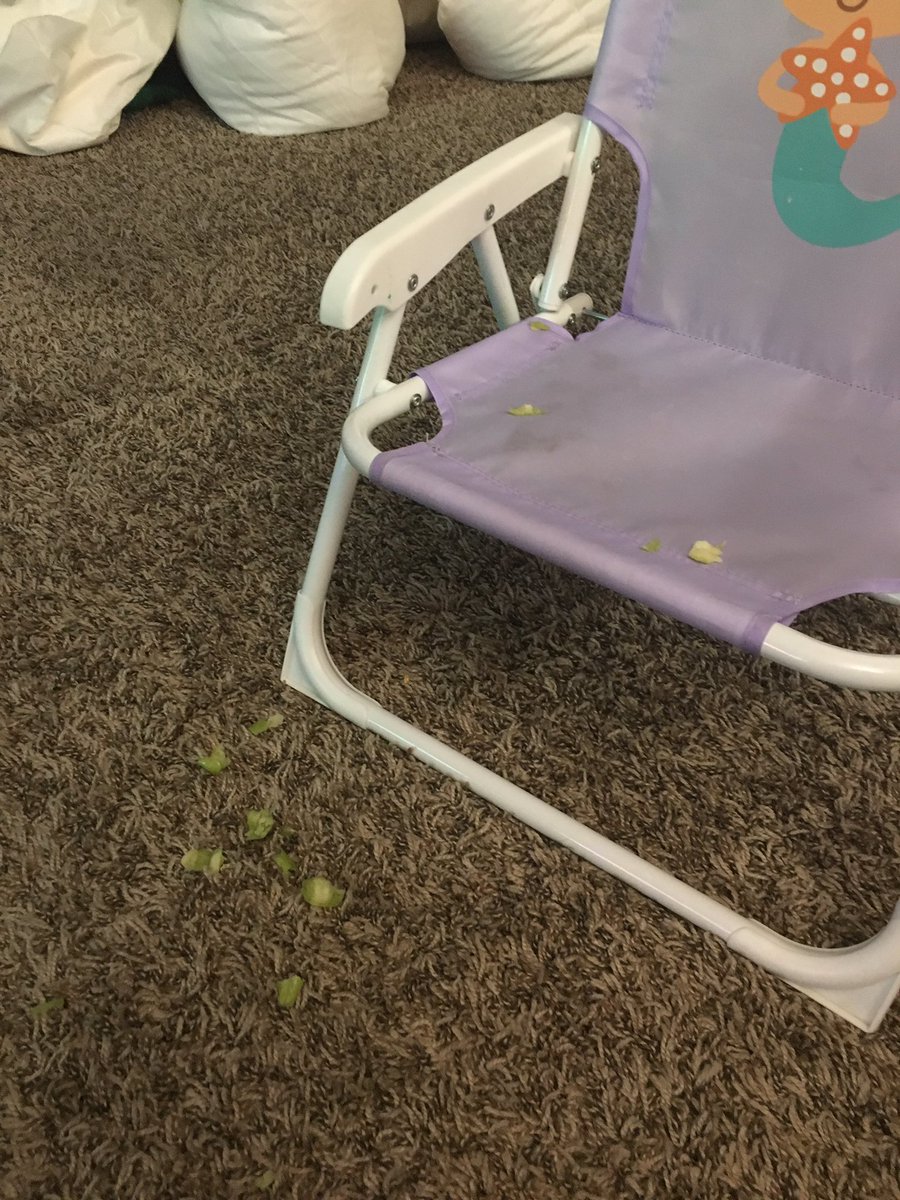 ksack11's tweet photo. PSA: She figured it out. By THROWING IT ALL OVER THE FLOOR/LIVING ROOM 🙄🤦🏼‍♀️ https://t.co/zw0ogEmFLN