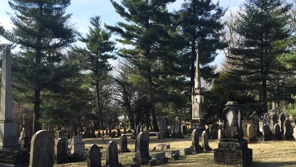 treeloversapp's tweet photo. Hey folks, looking for something fun and kind of thematic for #treeweeklex? Why not check out Conifers of the Lexington Cemetery? This walking tour, led by UK Forestry and Herbarium Curator Rob Paratley will explore the Lexington Cemetery. Stop by tomorrow at 3 PM to join in. https://t.co/GBQJLUFDpS