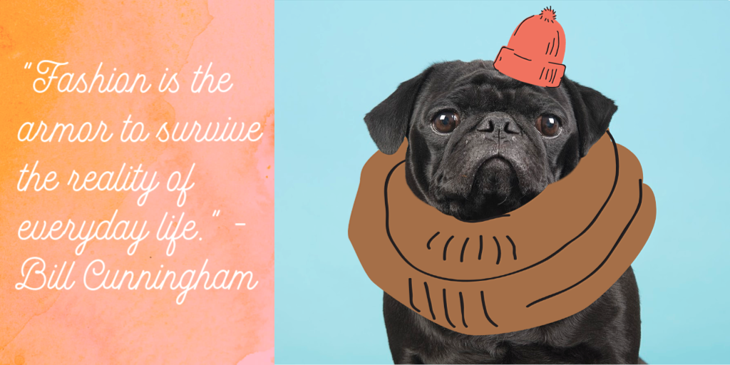 PicMonkey's tweet photo. When your dogs have more style than you. #MadeInPicmonkey #Dogtober https://t.co/tQFS3uulPy
