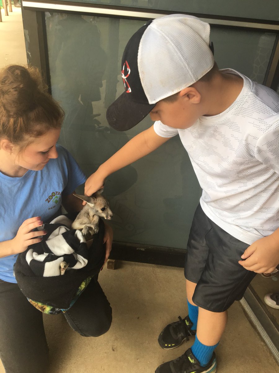MrsSNicely's tweet image. I loved being a “mom” today with my 2nd grader! #zootastic was amazing! We learned about so many different animals that we wouldn’t normally get to see and experience! #groWHere #fieldtripfun #newexperiences #2ndgraderocks @WHE_Whiskers