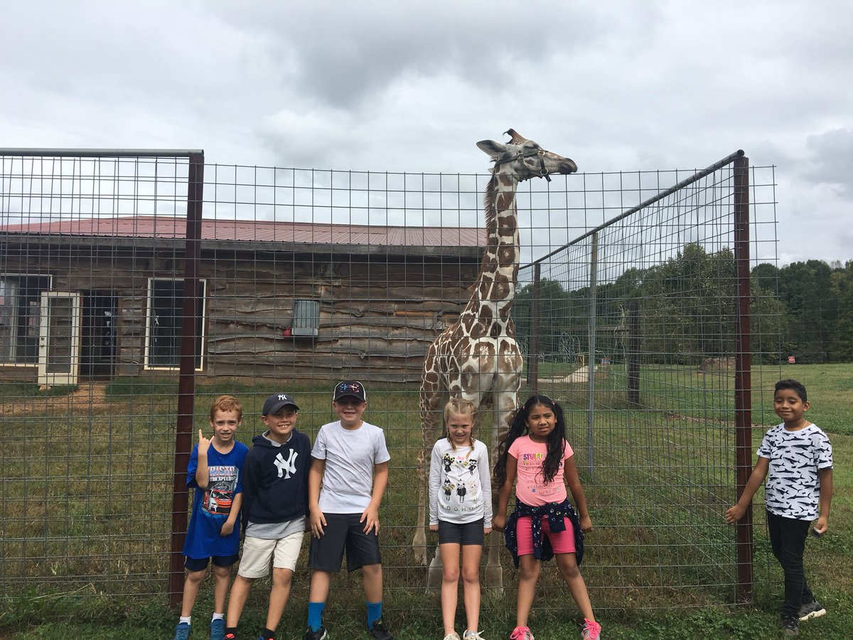MrsSNicely's tweet image. I loved being a “mom” today with my 2nd grader! #zootastic was amazing! We learned about so many different animals that we wouldn’t normally get to see and experience! #groWHere #fieldtripfun #newexperiences #2ndgraderocks @WHE_Whiskers