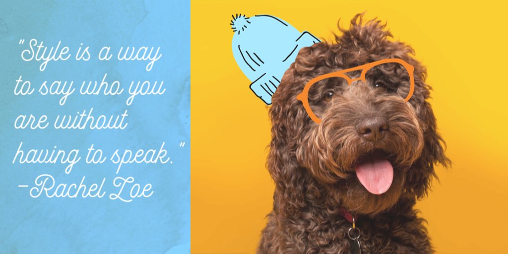 PicMonkey's tweet photo. When your dogs have more style than you. #MadeInPicmonkey #Dogtober https://t.co/tQFS3uulPy