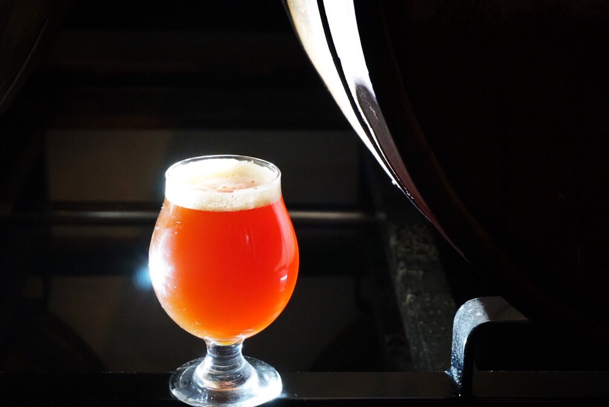 FERMÆNTRA tweet media