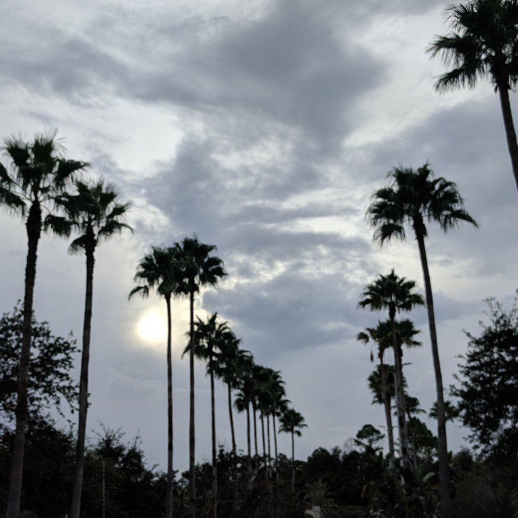 debbryant's tweet image. In great company at the @RedHat Americas Tech Exchange RHTE 2018 . #TheOpenOrg Be safe this week Floridians to the north.