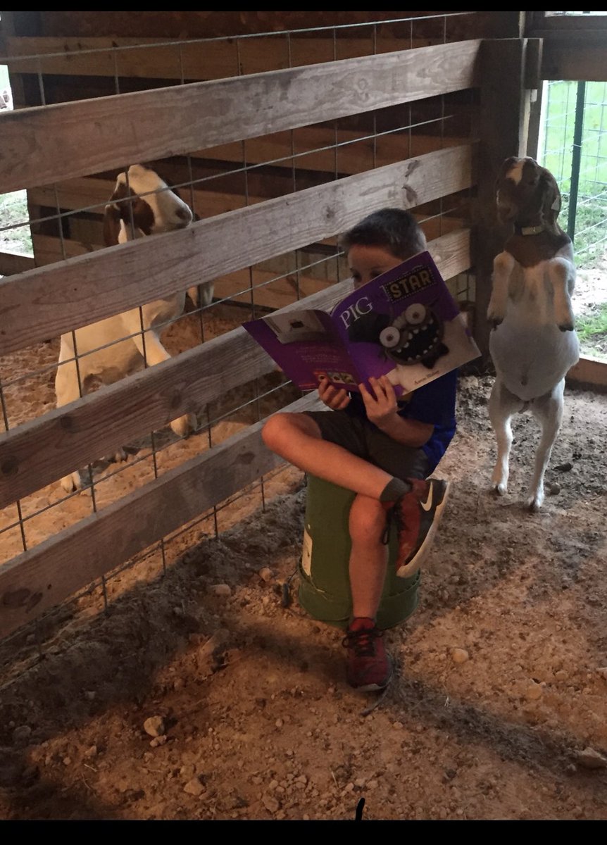 TechKnowTaylor's tweet image. Do your students read with goats?? Mine do! NO homework is working - just read what you want, when you can &amp;amp; Shout outs for pics! Pls give him a like!