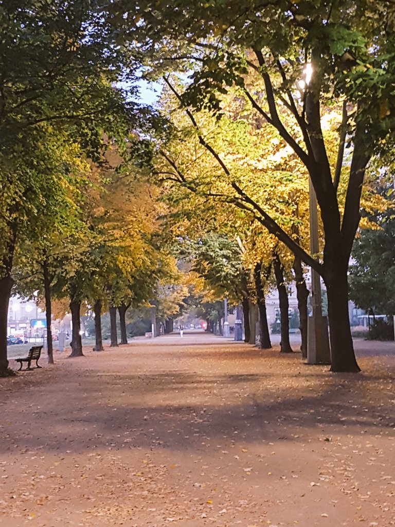 Herbstliche Morgengrüße, ihr Lieben! 🙋🏻‍♀️☕🍂
#Berlin #KarlMarxAllee