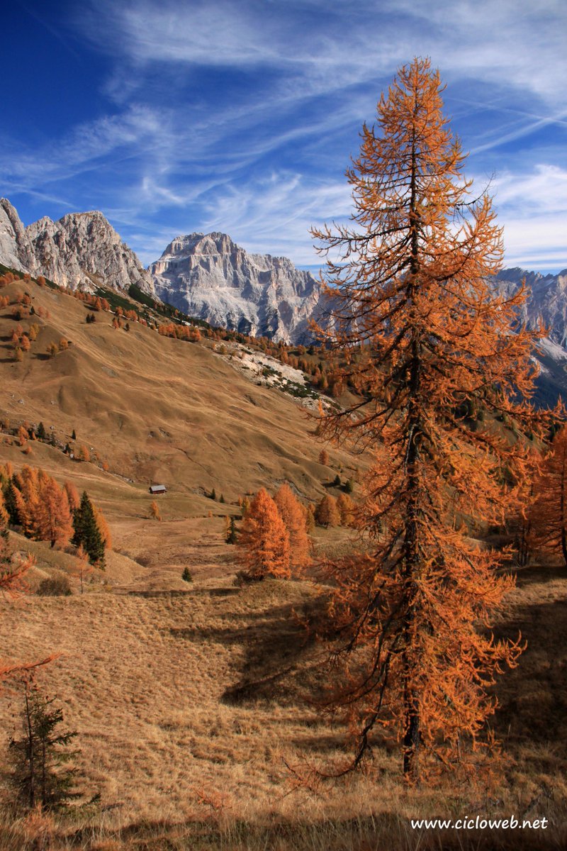 Ciclowebnet's tweet photo. #Autunno tra le #Dolomiti venete: dal @RifCittadiFiume alle forcelle che portano verso #Mondeval
https://t.co/au2b1RUTfu
@TurismoVeneto @DolomitesUNESCO https://t.co/39tpUWWqKW