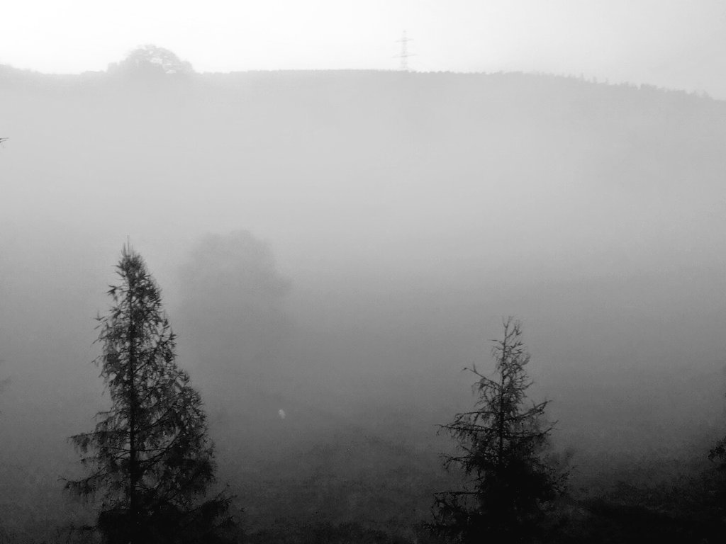 EdeeenAuer's tweet photo. #sc2018_01 #morningviews https://t.co/O9kuYVlRUo