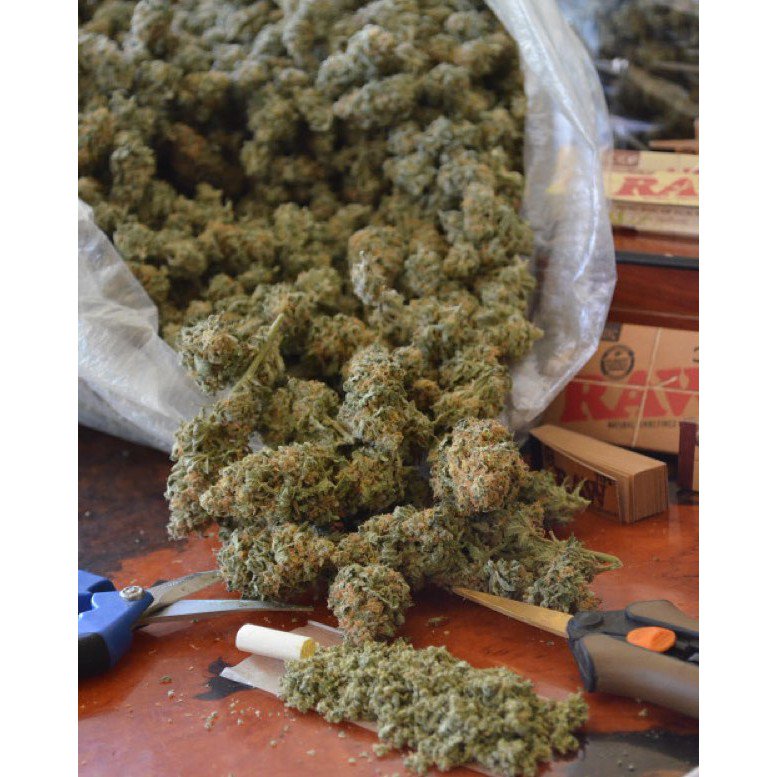 UtahHemp's tweet photo. @HannaaSnyderr Give her a couple buds and tell her to chill :) https://t.co/Q3g2N0QML0
