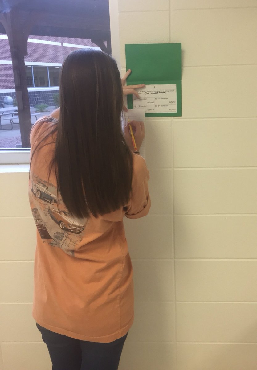 mamapeek_'s tweet image. Parenting class students workedtheir way  through a Problem Trail review #colaboration #PrenatalDevelopment