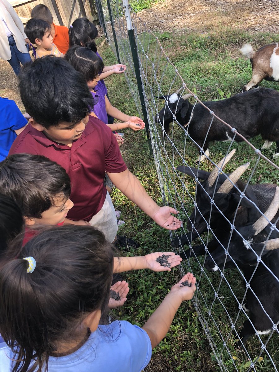 Mrs_Flora_'s tweet photo. “Mrs. Flora!! Quit taking selfies with the goats and listen to the farmer!” -a 1st grade student in my class #teachersfollowteachers #iteachfirst #fieldtrip #thingsyourstudentssay @jemosses https://t.co/e5QJvGtE3O