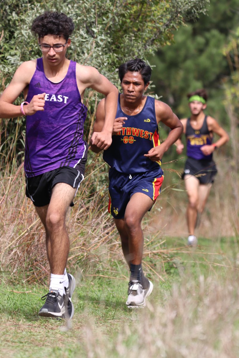 PrepRunningNerd's tweet photo. 260 Metro boys varsity pics @ https://t.co/CV2HUNKHRu 

@cpxc1 
@MWestXC 
@OPSCHSBoysXC 
@Titanrunning 
@eshs_tf_squad 
@burke_XC 
@OmahaSouthAD 
@MonarchXC 
@OmahaWestsideXC 
@BellevueEastXC 
@bryan_country 
@MillardNorth_XC 
@MSXCDistance 
@OPSNWXC 
@TbirdEMPIRE 
@OmahaNorthXC https://t.co/k9uyQerjRO