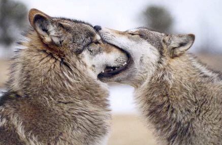 In six words or fewer, write a story about this photo.
#sixwordstory #amwriting