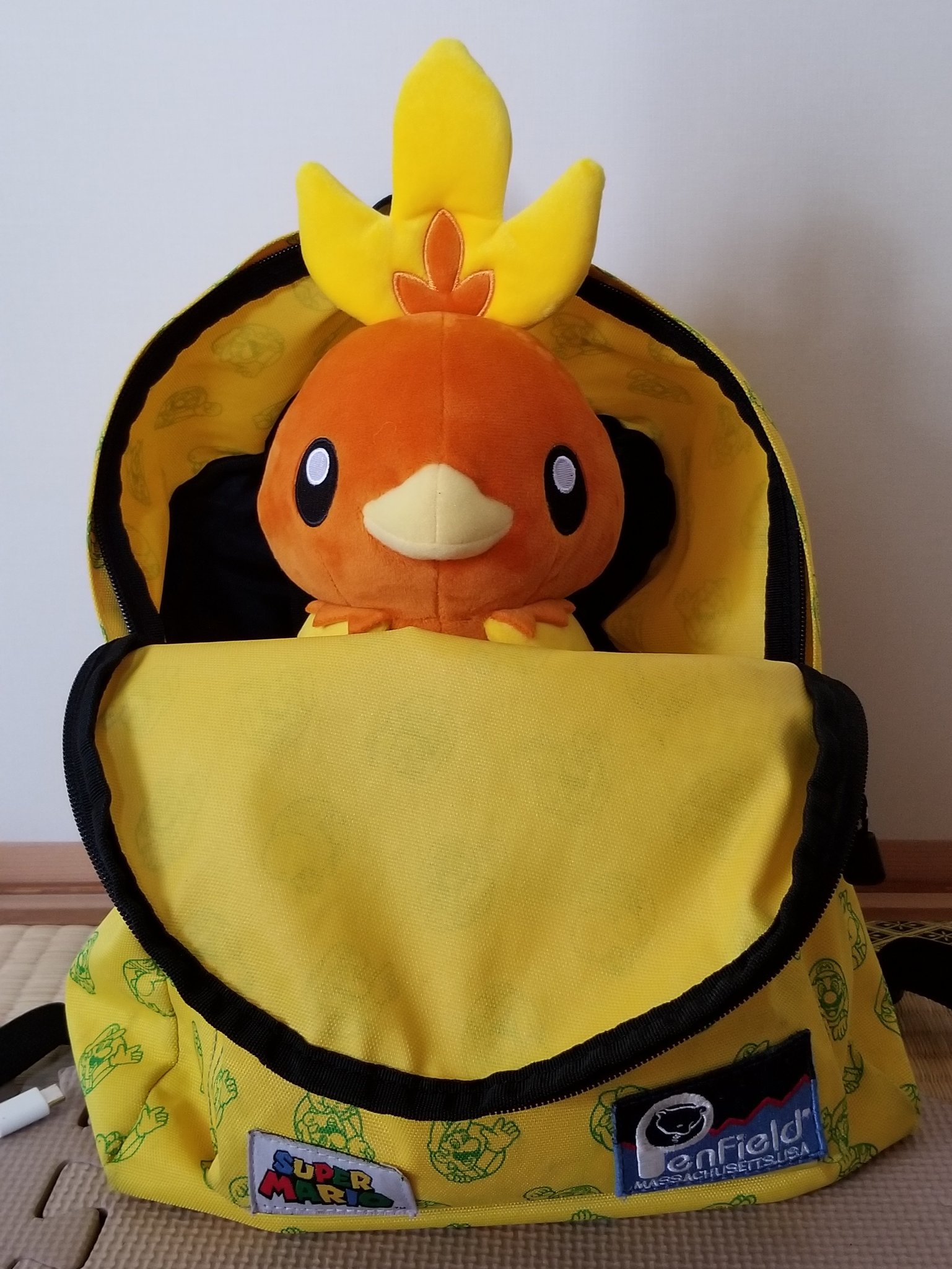 ことり O 日 O さあリュックサックは準備ok 行かなくちゃ キミの冒険 ポケモン モクローうちに居なかったわ ェ リュックサック スーパーマリオだし 新入りカビゴン可愛い ことり O 日 O さあリュックサックは準備ok 行かなくちゃ キミの冒険 ポケモン モクローうちに居なかったわ ェ リュックサック スーパーマリオだし 新入りカビゴン可愛い