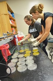 uga_ehs's tweet photo. Meet Megan Lott, a PhD student and @UGAGradStudies Presidential Fellow at #UGAEHS. She's a @UNCpublichealth BS+MS graduate studying microbial water quality+environ. health w/ @lipp_lab. She's also on the @SciREN_Outreach Leadership Team in GA and an instructor for @duketip! Wow! https://t.co/WHDMU8RKJS