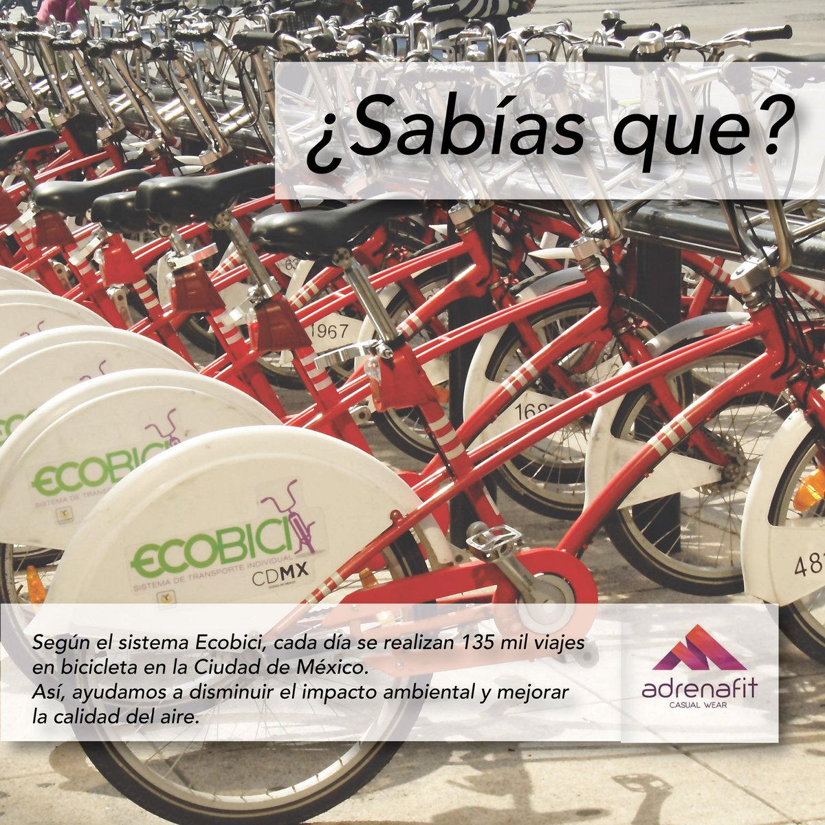 AdrenafitW's tweet photo. #Adrenafit también se preocupa por el medio ambiente. Deja el carro en casa y pedalea un rato.

@ecobici https://t.co/zBMgNuZaJt