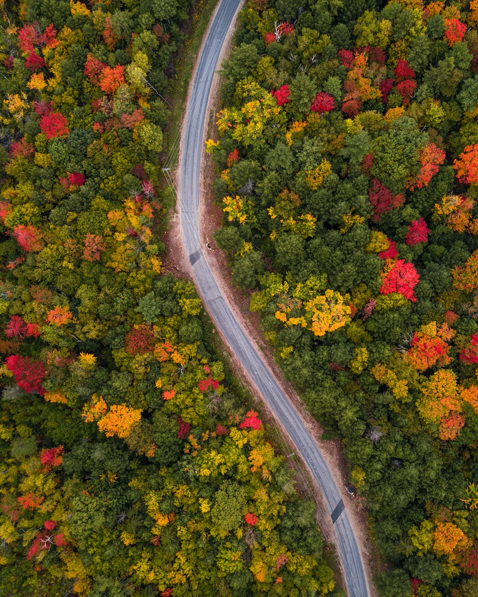 GettsWild's tweet photo. The best time of the year here in New England. Check out those colors! https://t.co/Nmvgxm6dqj