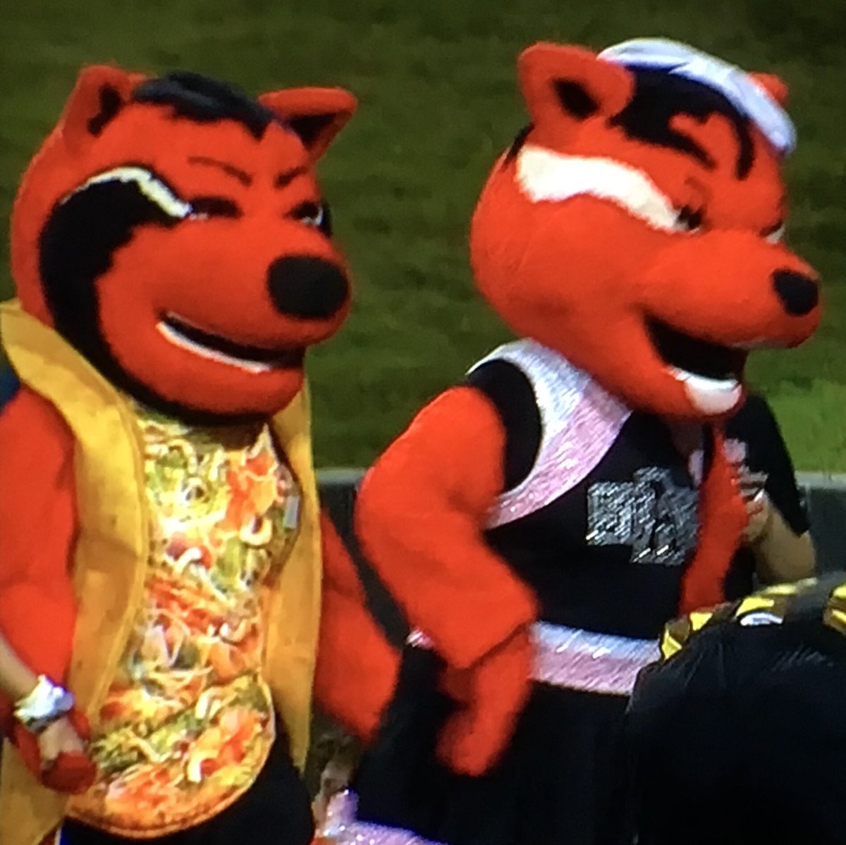 RedditCFB's tweet photo. On the lighter side, the Arkansas State mascot, Howl, apparently dressed up like a taco because college is awesome. ๐ฎ๐บ #APPvsARST #WolvesUp https://t.co/7Ldf1tCskV