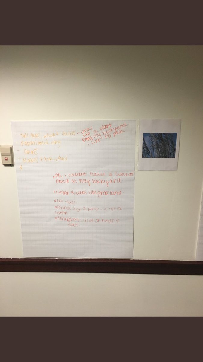 MissDSchmidt's tweet photo. This is a great question building strategy! It encourages students to express their curiosity.  #edu2270css #edu2270 https://t.co/G6IiZkdAYz
