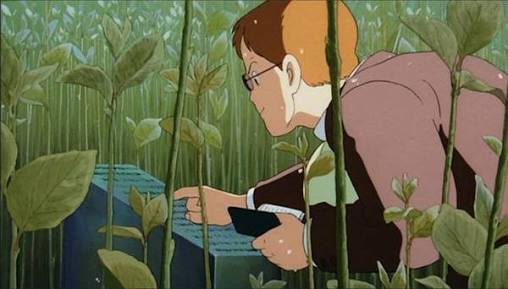 見える！見えるぞ！